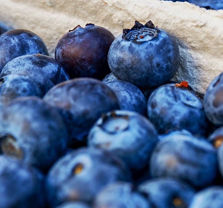 blueberries